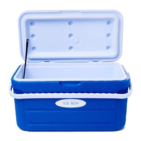 electric cooler box singapore|cooler box 20 liter.